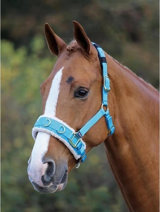 Shires Mit Fleece gefütterter Longiergurt Pferde