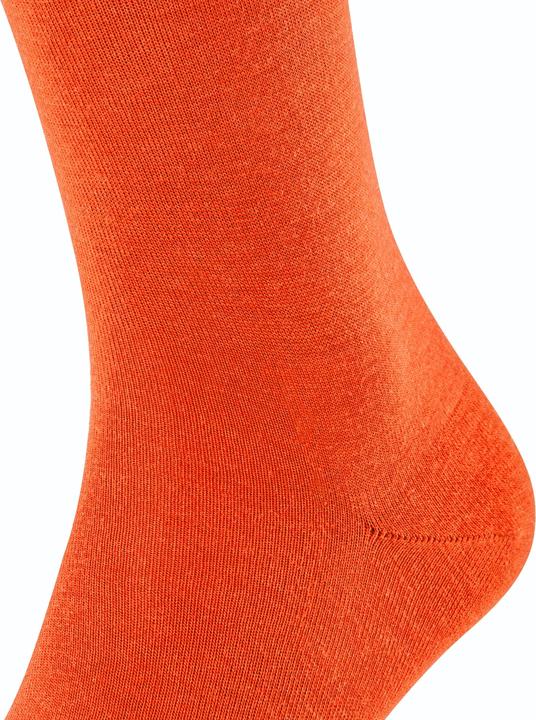 Immagine prodotto Falke Airport KH (Confezione singola, 39 - 40)