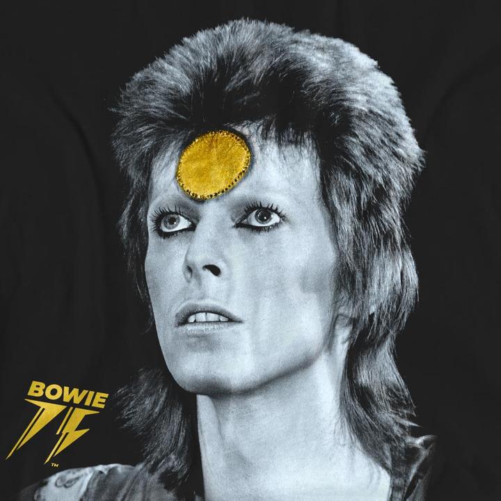 Produktbild David Bowie Golden Bowie TShirt (XL)