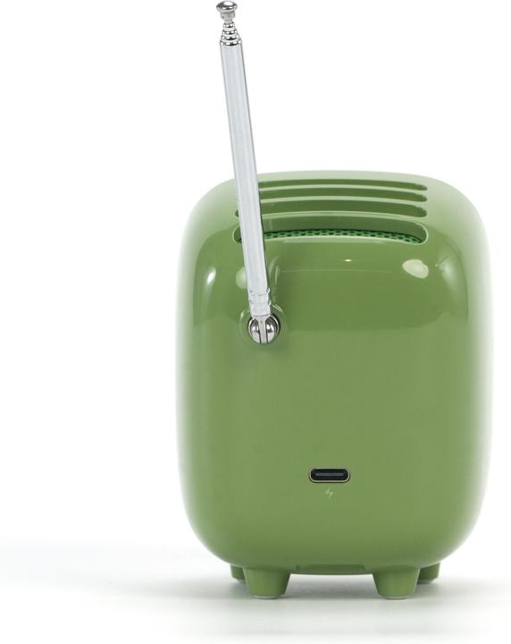 Actual product image Divoom Tiivoo-2 green