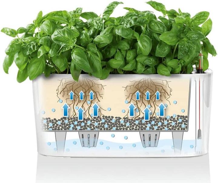 Produktbild Lechuza Delta (11 cm)