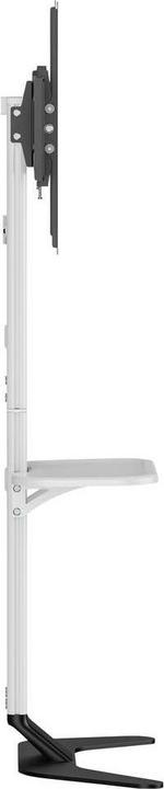 Actual product image SpeaKa Professional SP-TVS-600 TV-Standfuss Höhenverstellbar 94,0 cm (37") - 218 (86", 45 kg)