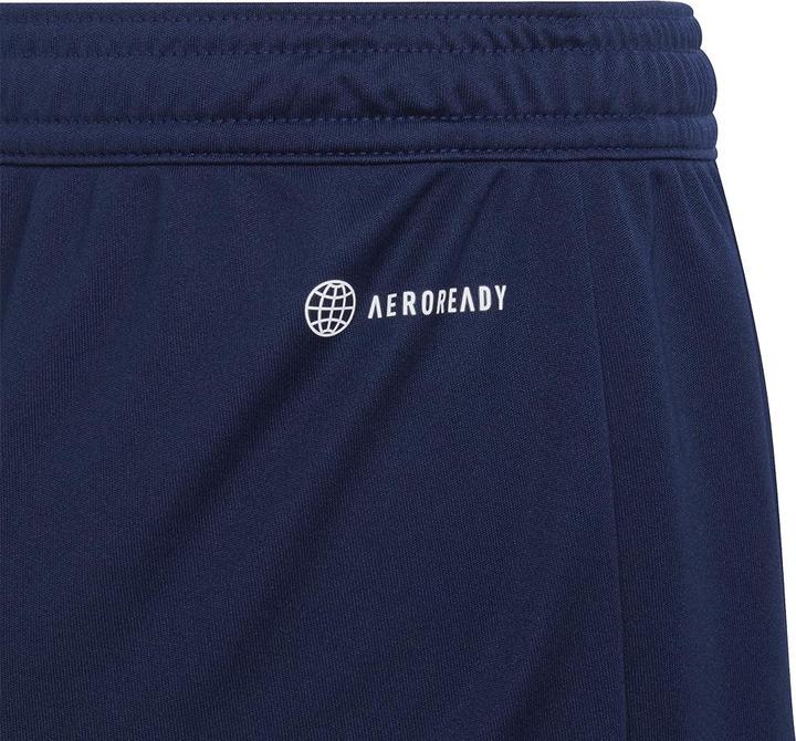 Actual product image adidas Entrada 22 Shorts (164)