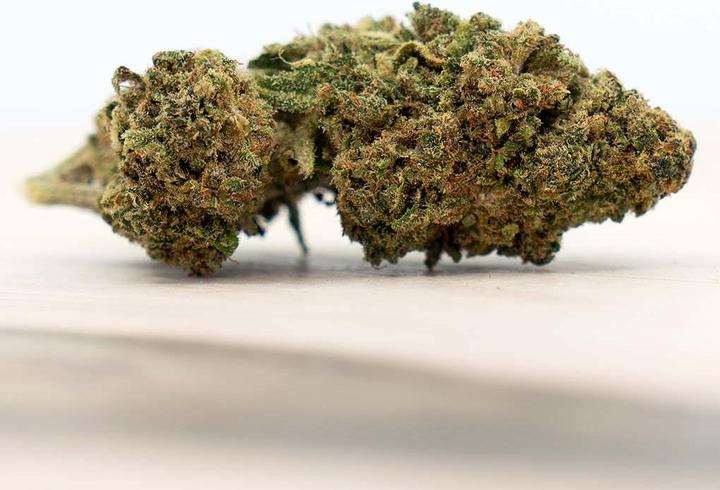 Immagine prodotto Herba di Berna Cannatonic Indoor (3.50 g, Interno)