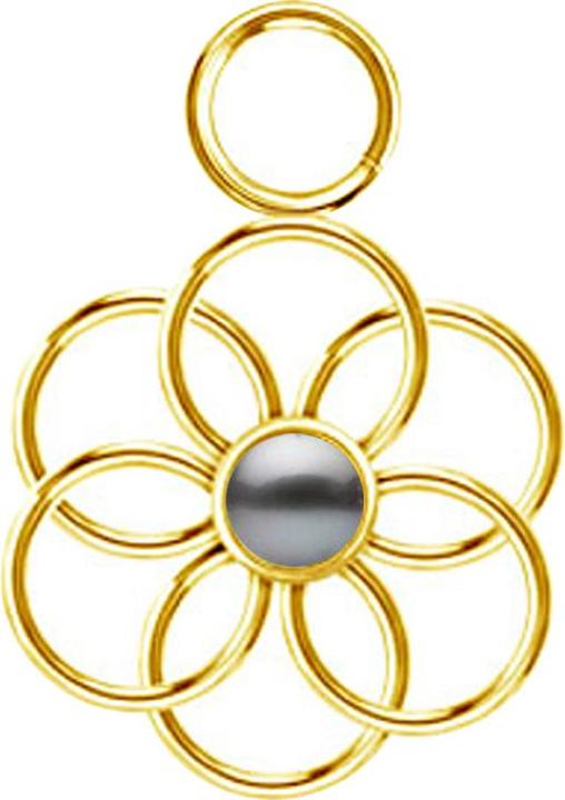 Image du produit Star Piercing Anhänger vergoldet Perle schwarz Blume des Lebens (Acier chirurgical 316L, sans laiton)