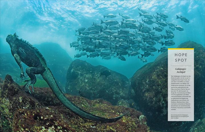 Produktbild National Geographic Das grosse Buch der Ozeane (Deutsch, Sylvia Earle, 2024)