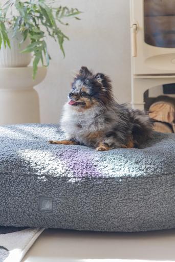 Actual product image Designed by Lotte Ribbed (Dog)
