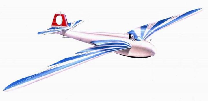 Actual product image Planet Models DFS glider Habicht