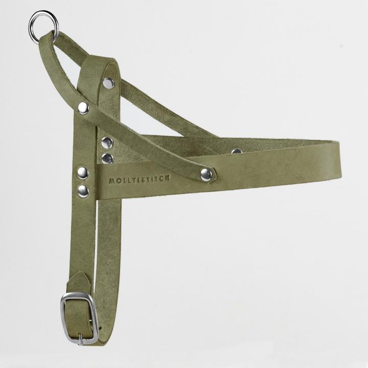 Produktbild Molly & Stitch Butter Leder Hundegeschirr (Hund, Allgemein)