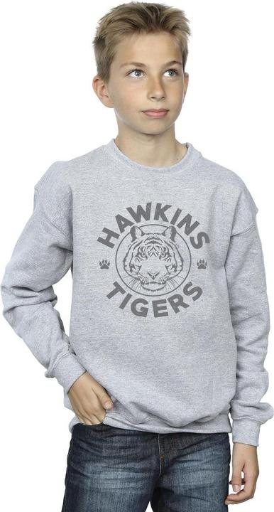 Actual product image Netflix Boys Stranger Things Hawkins Grey Tiger Sweatshirt (128)