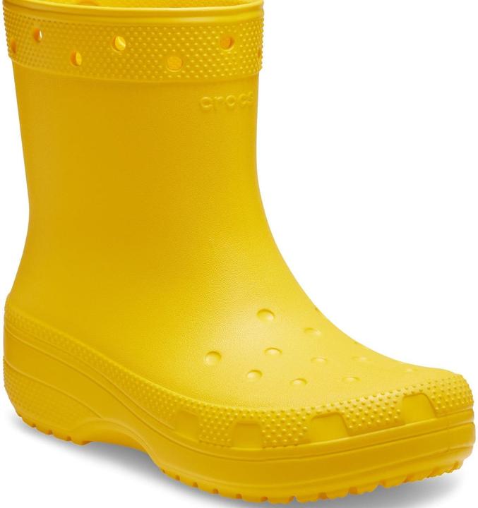 Tournesol
