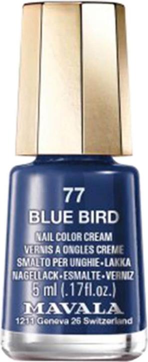 uccello blu
