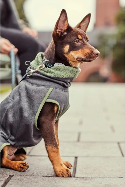 Actual product image Hurtta Razzle-Dazzle blackberry Gr.40 (S, Dog jumper)