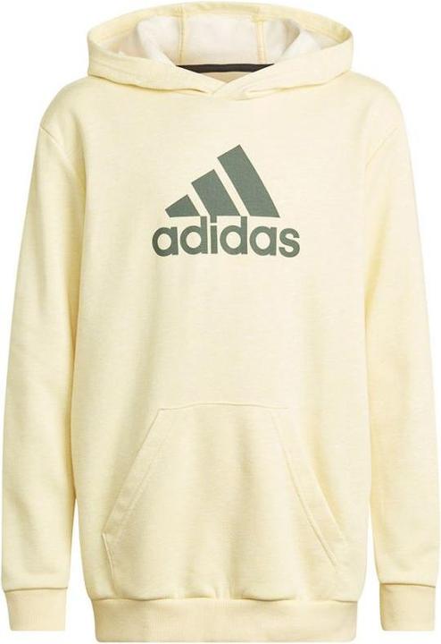 Actual product image adidas Badge of Sport Hoodie Jr (164)