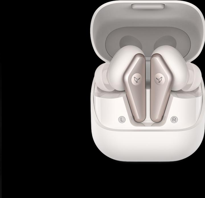 Immagine prodotto Libratone Air+ (2a generazione) (ANC, 6 h, Senza fili)