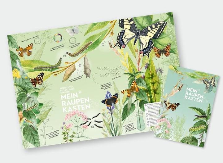 Actual product image Mein Raupenkasten Insect hotel caterpillar box (Butterflies)