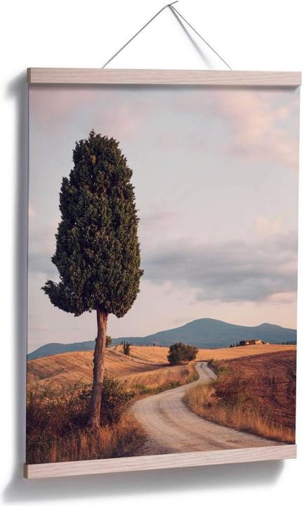 Produktbild Trenddeko Zypressenweg (60 x 80 cm)