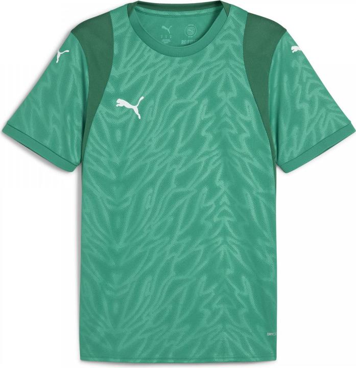Image du produit Puma teamCUP Jersey (S)