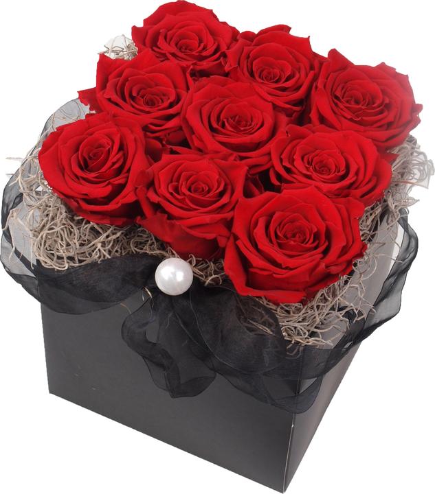 Floramall Infinity Rosenbox Rot Large (Infinity Blumen)