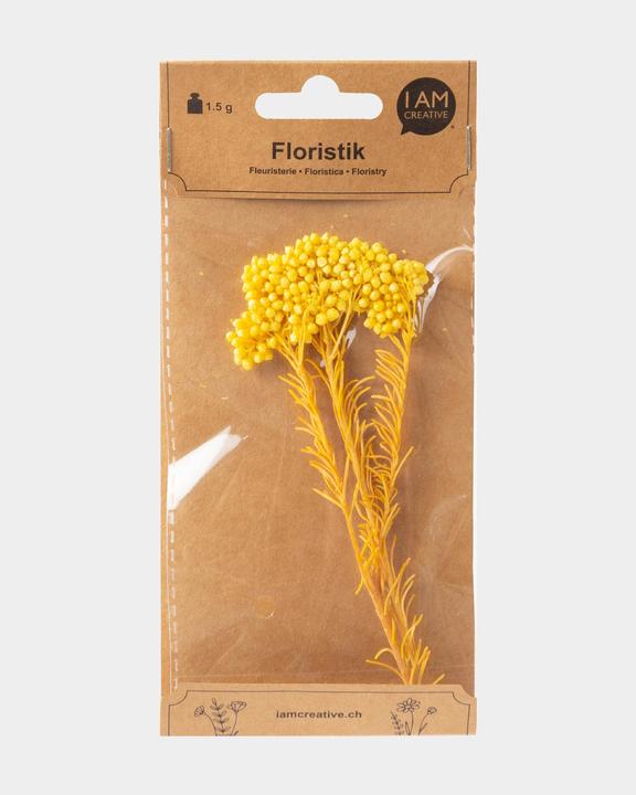 Actual product image I Am Creative Dried flowers Strawflower (Dried flowers)