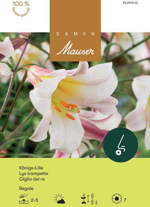 Actual product image Samen Mauser King Lily (Flower seeds)