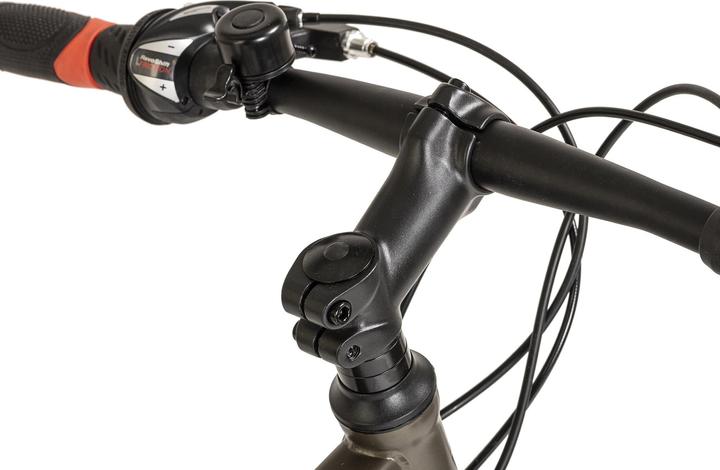 Immagine prodotto Wyld Mountainbike Hardtail 29" Sharp Scheibenbremse platin-grau 21 Gänge (46 cm)