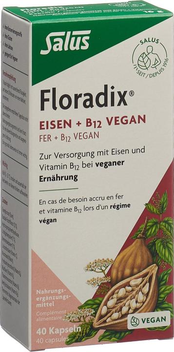 Floradix Eisen und B 12 Vegan (1 Stück, Kapseln, 37 g)