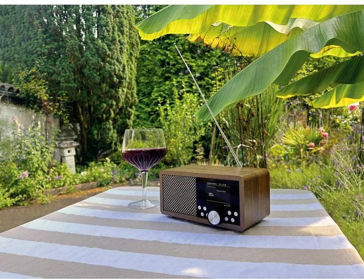Produktbild Dynavox Weltempfänger DAB+, FM, DAB DAB+, Bluetooth®, SD, USB Braun (DAB, FM, DAB+, Bluetooth)