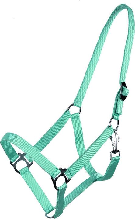 Qhp Nylonhalfter mit Schiebeschnalle