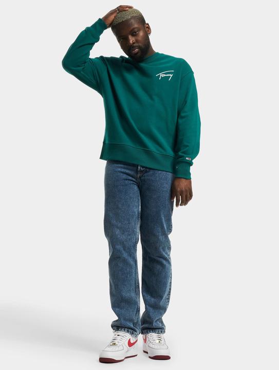Image du produit Tommy Hilfiger Tommy Jeans Signature Sweater - 97575 (M)