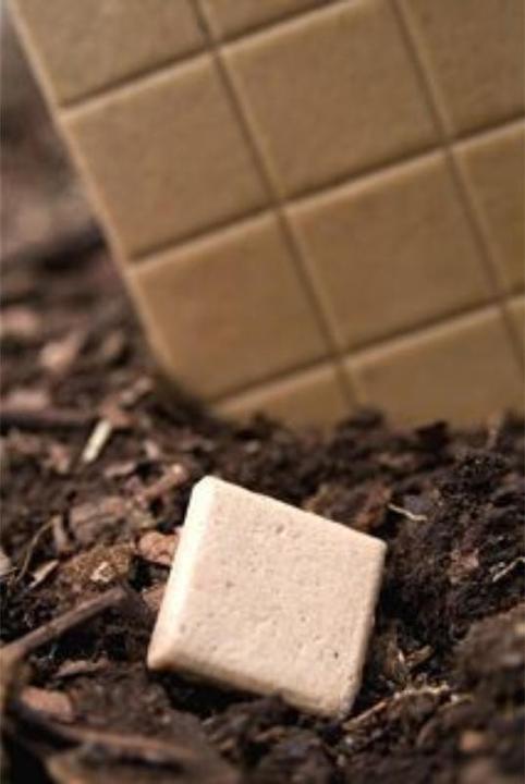 Actual product image Chicza Chewing gum mint organic (1 pcs., 30 g)