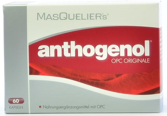 Produktbild Masqueliers Anthogenol OPC Originale (60 Stück, Kapseln, 52 g)