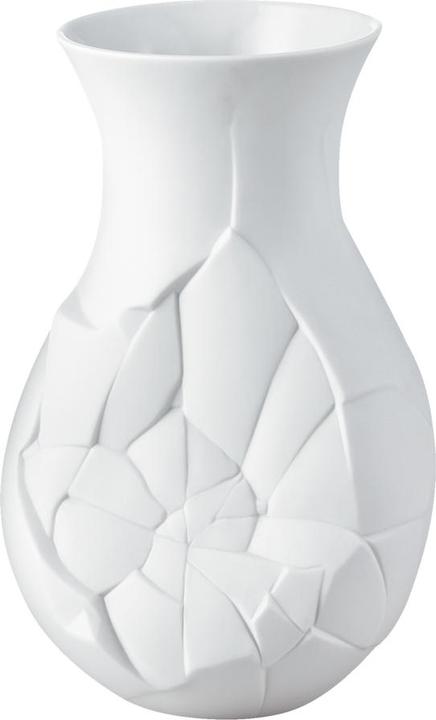 Actual product image Rosenthal Vase of Phases (1 x)