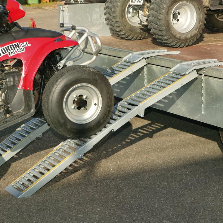 Immagine prodotto Cartrend Rampe pieghevoli