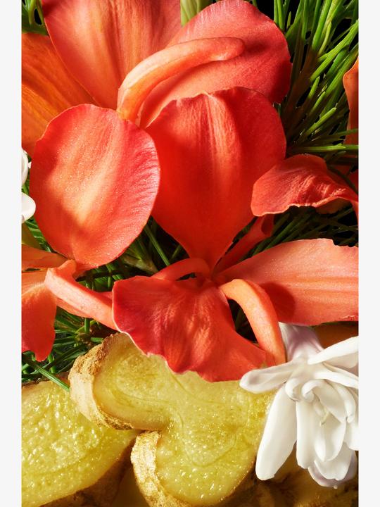 Produktbild Molton Brown Heavenly Gingerlily Hand Cream (40 ml)