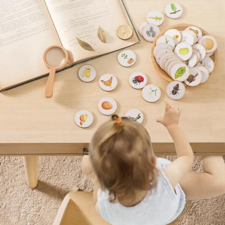 Produktbild Activity Board Baby Holzspielzeug Tier Lebenszyklus Erkenntnis Holzbrett Säuglingsspielzeug Early Educational Baby