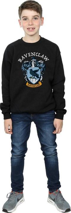 Actual product image Sweatshirt boys (116)