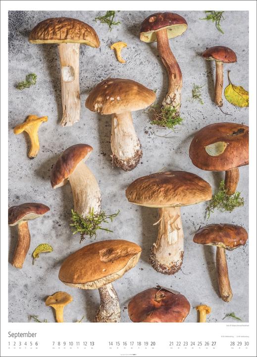 Produktbild Food Gallery Kalender 2026 (49 x 68 cm, Harter Einband, Deutsch)