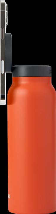Actual product image Ringo Regular (0.71 l)