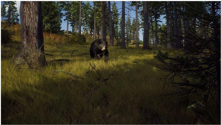 Produktbild THQ Way of the Hunter - Hunting Season One (Xbox Series X, EN)