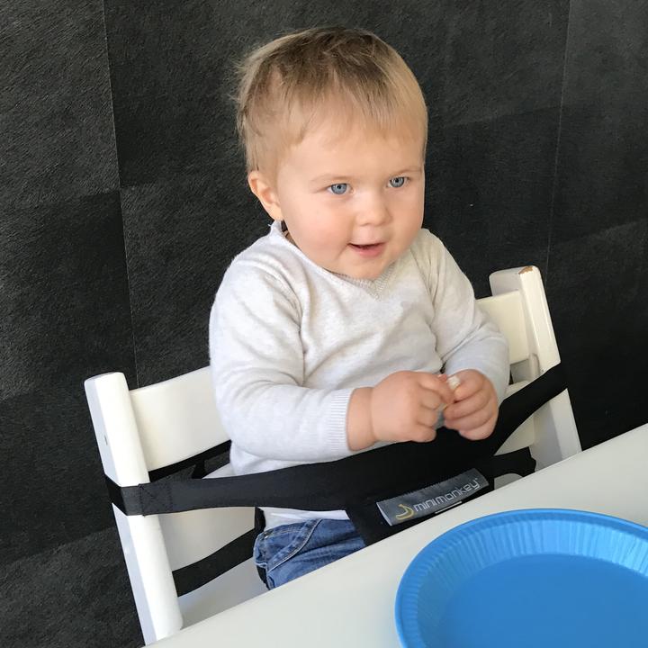 Image du produit Minimonkey Mini Chair (Chaise haute)
