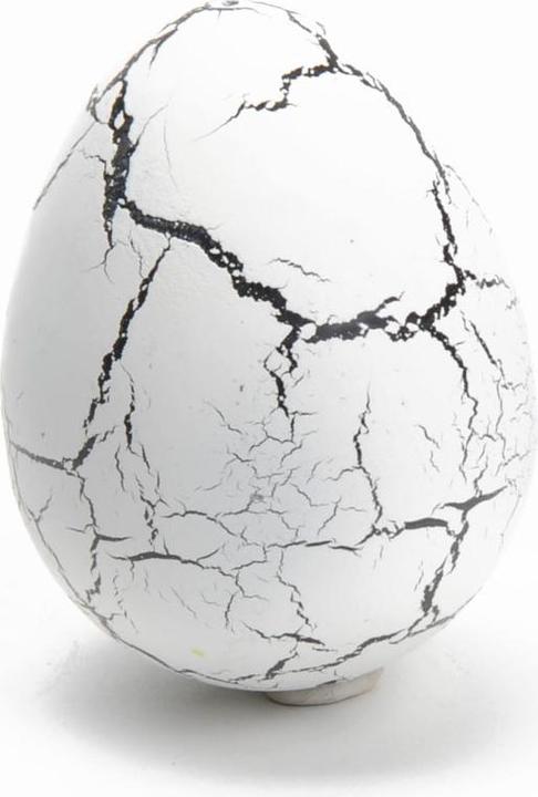 Actual product image Hippo Dino growth egg