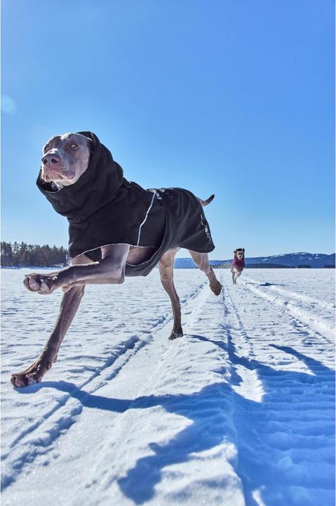 Actual product image Hurtta Extreme Warmer V3 Eco Black, 35 cm (35, Dog coat)