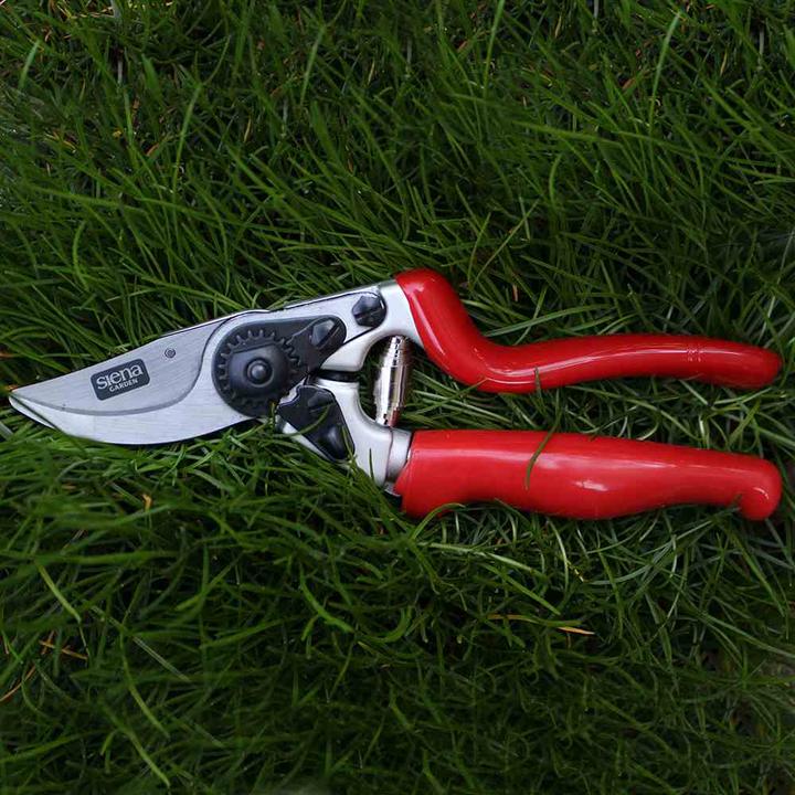 Produktbild Siena Garden Baumschere mit Rollgriff