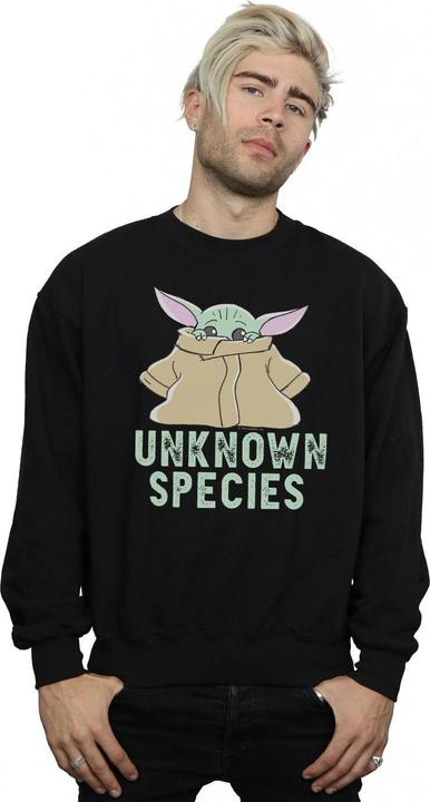 Produktbild Star Wars The Mandalorian Unknown Species Sweatshirt (XL)