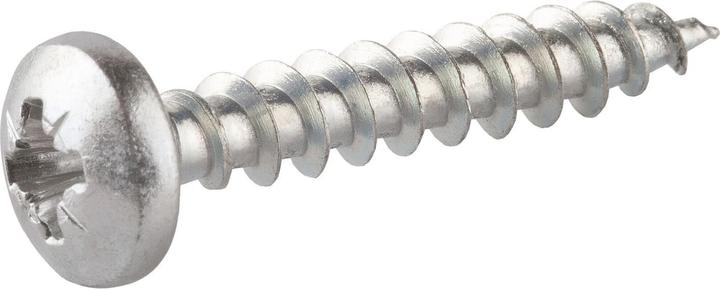 Actual product image Suki Universal screw Pan-Head 5x20mm (8 Screws per piece)