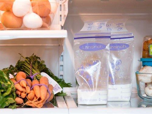 Image du produit Lansinoh Sacs de stockage du lait maternel