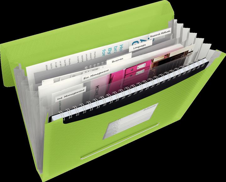 Actual product image Esselte Project File VIVIDA (A4, 1 x)