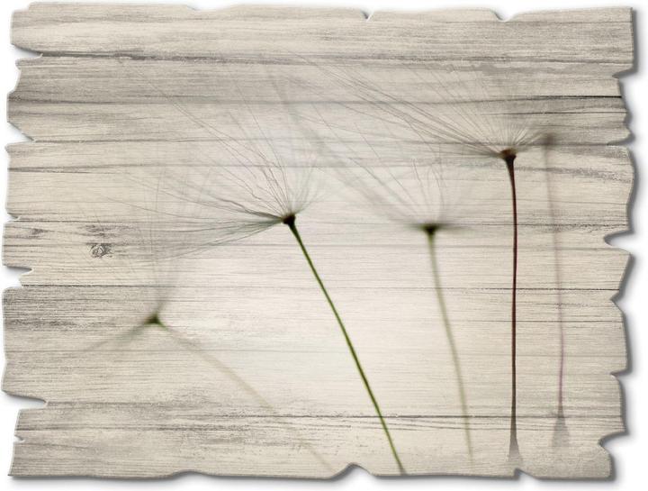 Image du produit Artland Graines de pissenlit I T5SQ (40 x 30 cm)