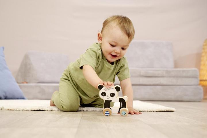 Actual product image Eichhorn EH Panda Pusher